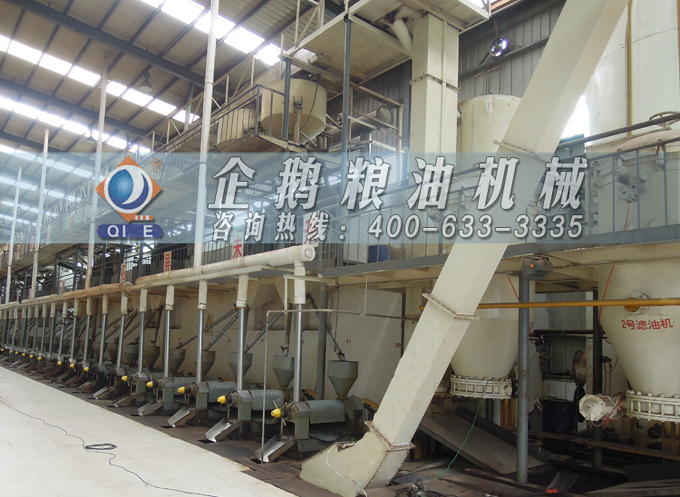 如何降低壓榨花生油中黃曲霉毒素含量？企鵝糧油機(jī)械為您提供可靠方法(圖3)