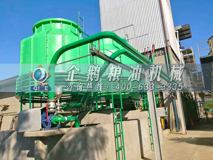 如何投資建設(shè)棕櫚油加工廠？企鵝糧油機(jī)械在線為您答疑解惑(圖3)