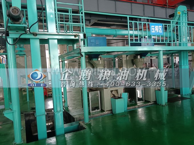 企鵝牌核桃油榨油設(shè)備，生產(chǎn)綠色健康油受大眾喜愛(圖4)